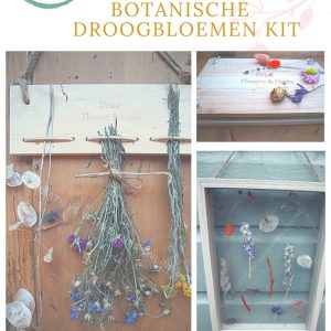 doe-het-zelf pakket botanische droogbloemen kit