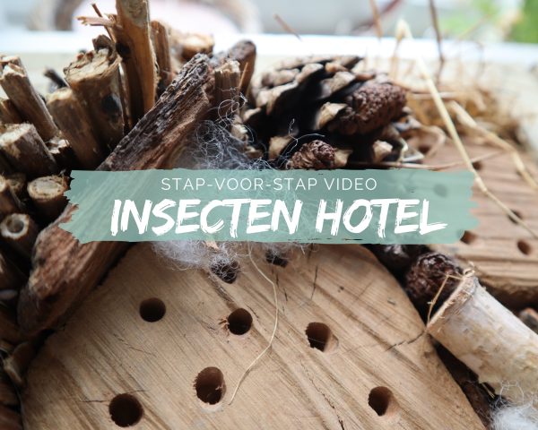 insecten hotel masterclass